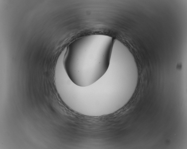 X0000114180916200910221710