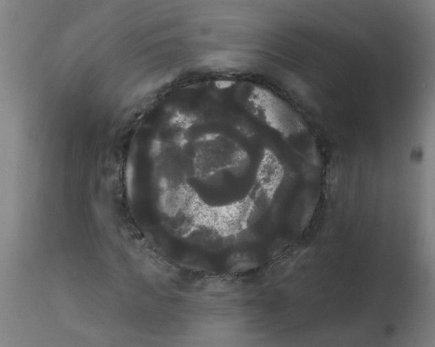 X0000114180917200910221710