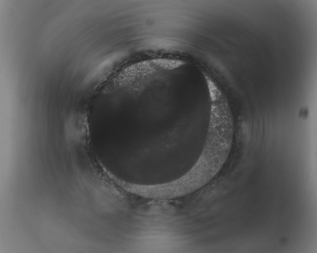 X0000114180918200910221710