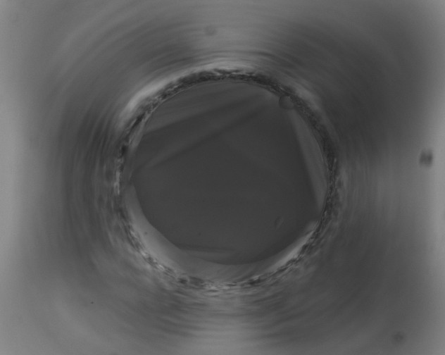 X0000114180920200910221710