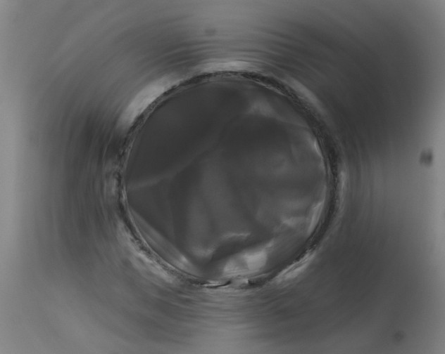 X0000114180921200910221710