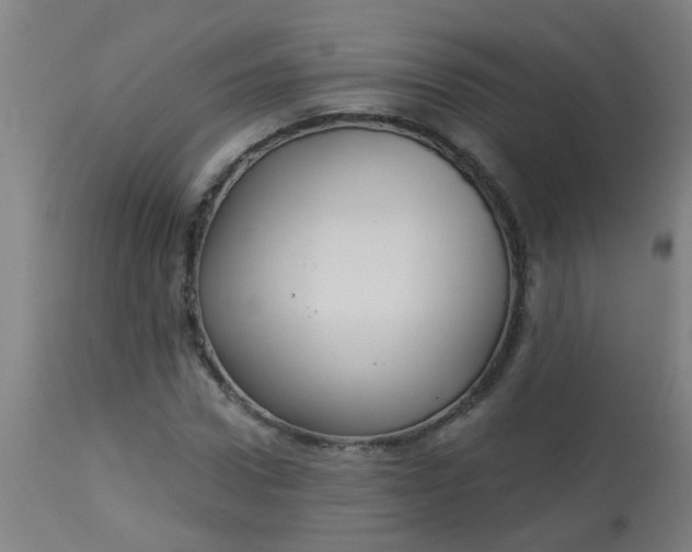 X0000114180922200910221710