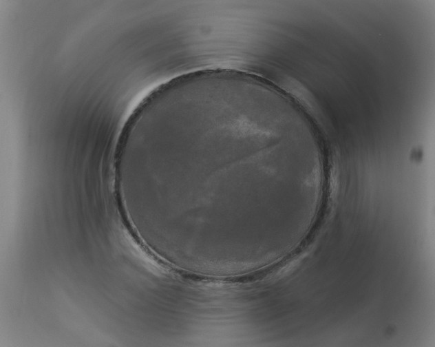 X0000114180924200910221710