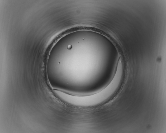 X0000114180926200910221710