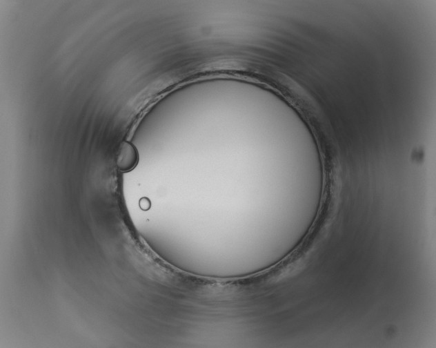 X0000114180929200910221710