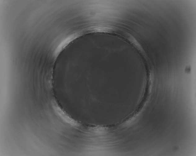 X0000114180930200910221710