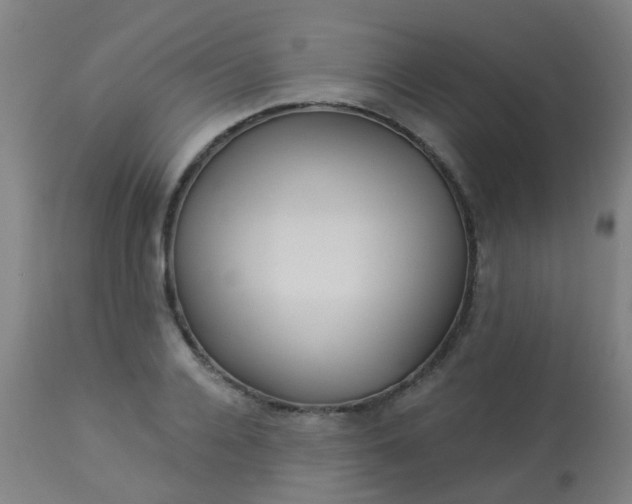 X0000114180936200910221710