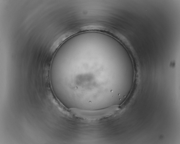 X0000114180937200910221710