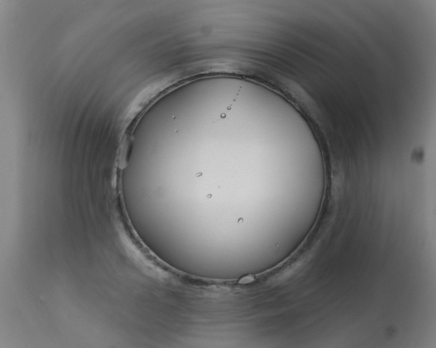 X0000114180938200910221710