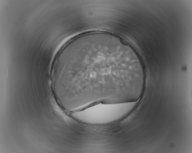 X0000114180940200910221710