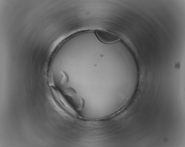 X0000114180944200910221710