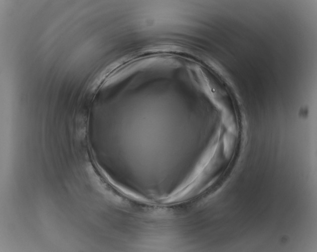 X0000114180945200910221710