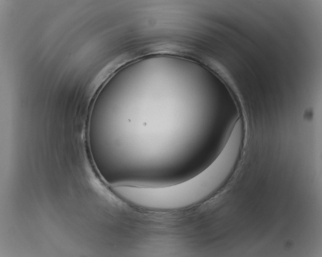 X0000114180946200910221710