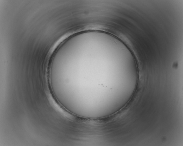 X0000114180947200910221710