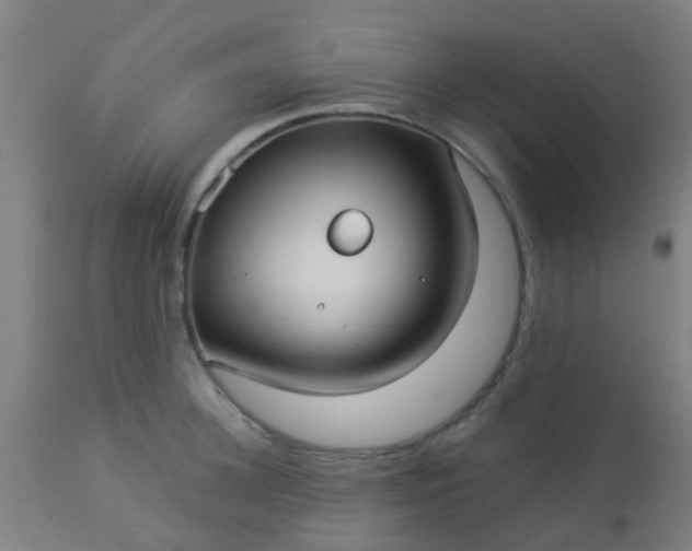 X0000114180948200910221710