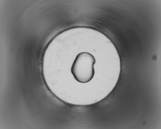 X0000114180950200910221710