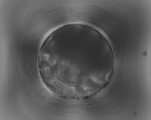 X0000114180951200910221710