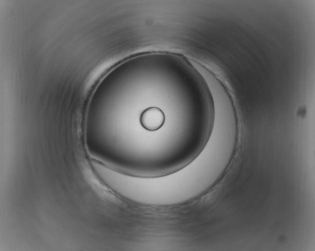 X0000114180952200910221710