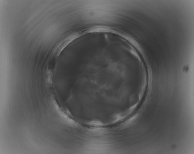 X0000114180953200910221710