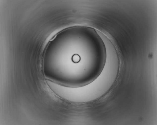 X0000114180956200910221710