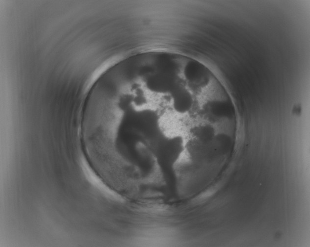 X0000114180957200910221710