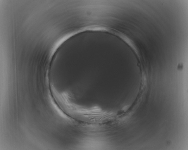 X0000114180959200910221710