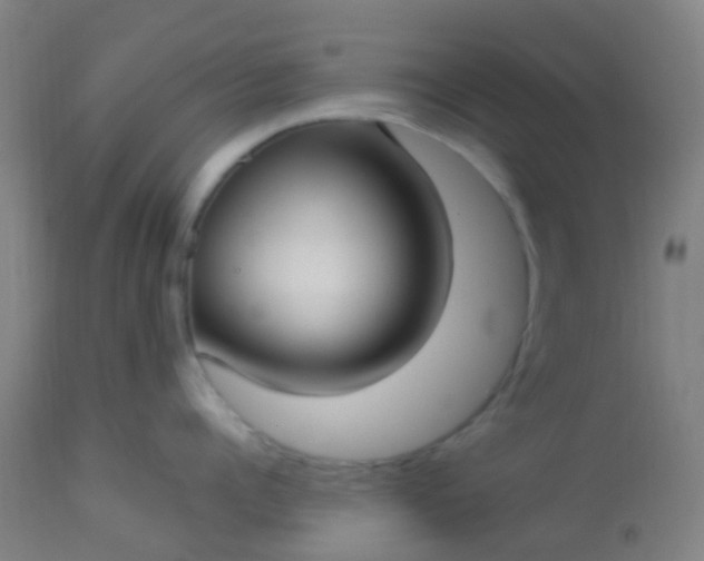 X0000114180960200910221710