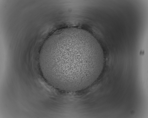 X0000114180961200910221710