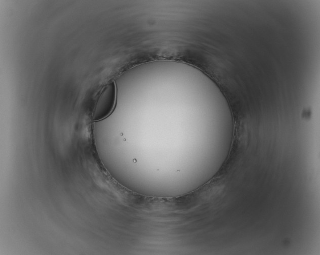 X0000114180962200910221710