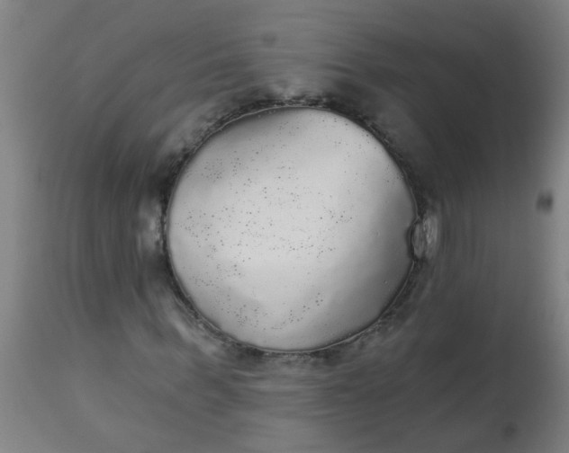 X0000114180963200910221710