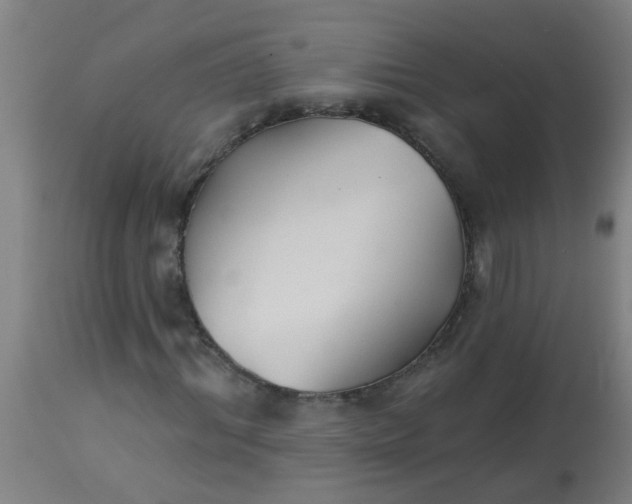 X0000114180964200910221710