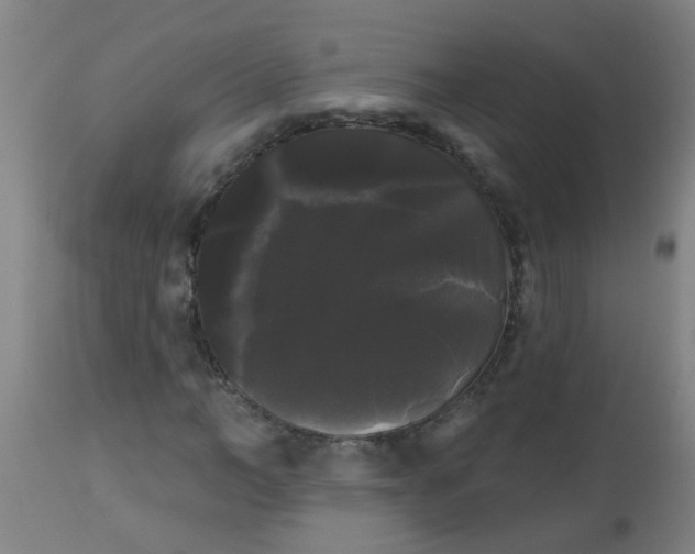 X0000114180966200910221709