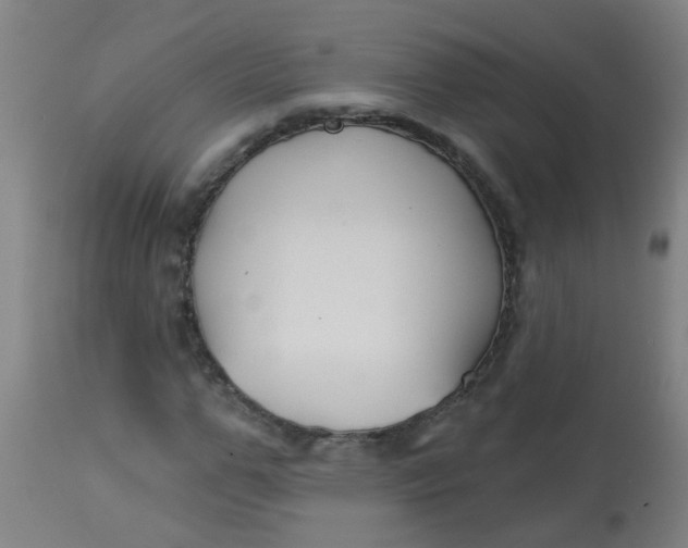 X0000114180967200910221709