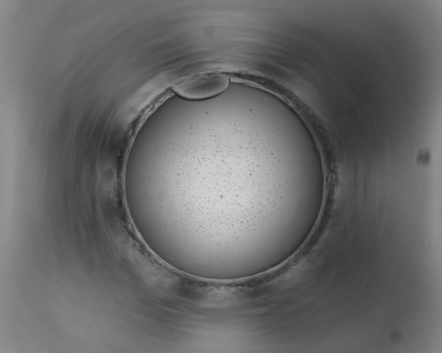 X0000114180969200910221709