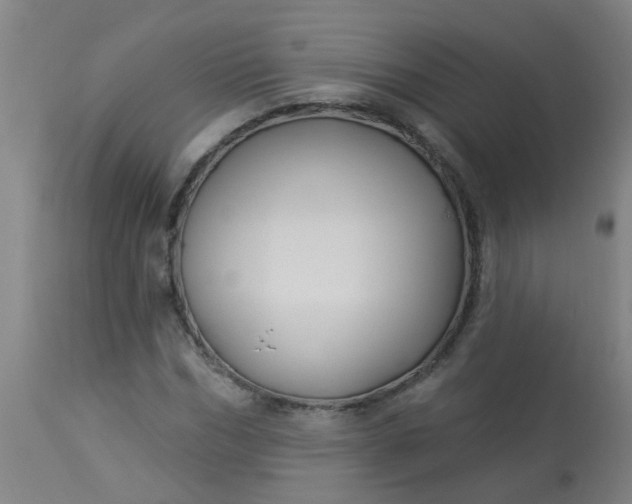 X0000114180970200910221709