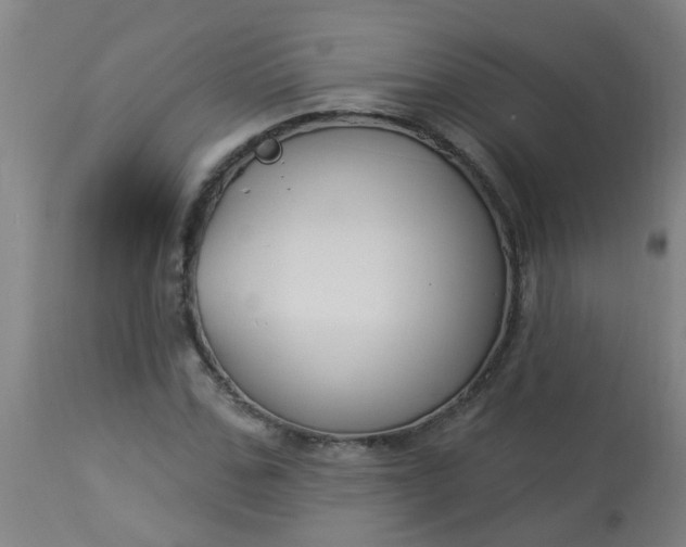 X0000114180971200910221709