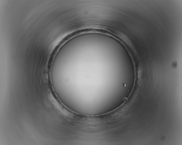 X0000114180972200910221709