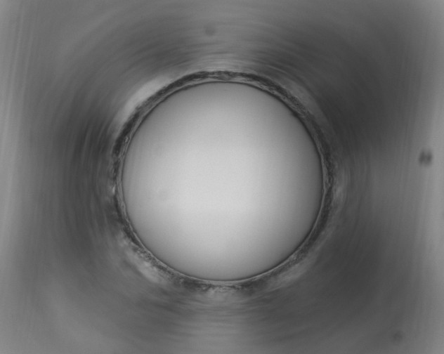 X0000114180974200910221709