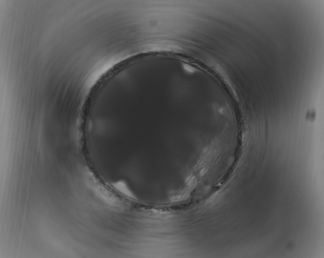 X0000114180975200910221709