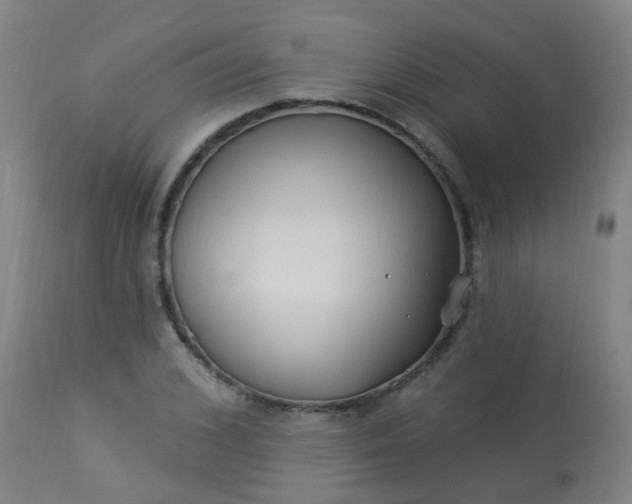 X0000114180976200910221709