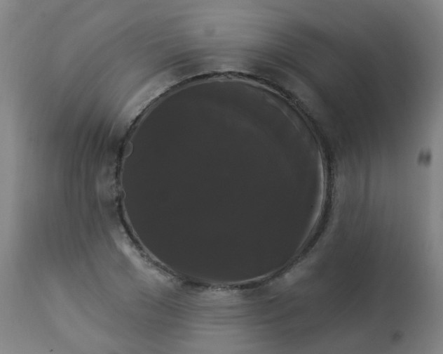 X0000114180977200910221709