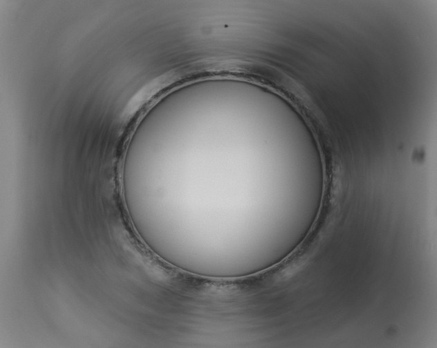 X0000114180978200910221709