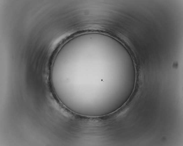 X0000114180979200910221709