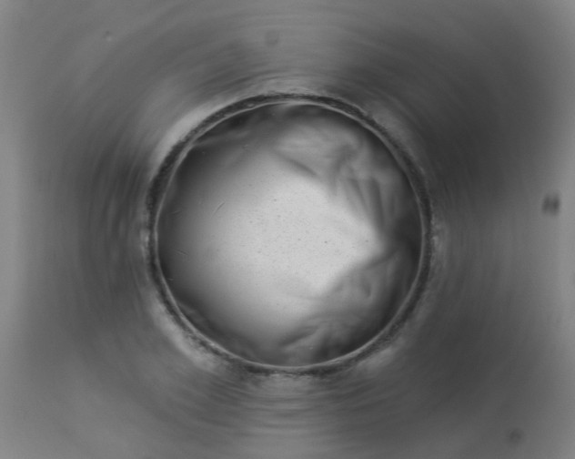 X0000114180981200910221709