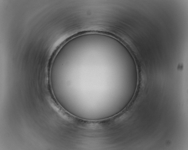 X0000114180982200910221709