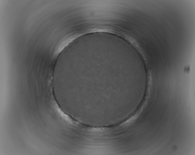 X0000114180985200910221709