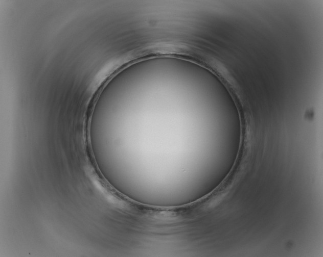 X0000114180986200910221709