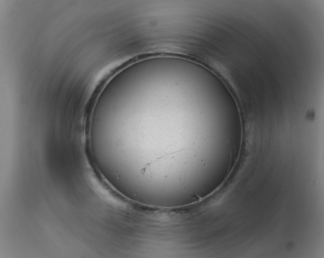 X0000114180987200910221709