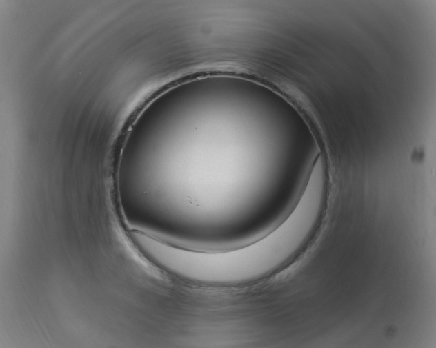 X0000114180989200910221709