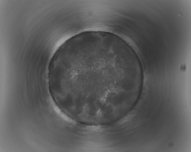 X0000114180990200910221709